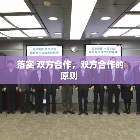 落实 双方合作,双方合作的原则