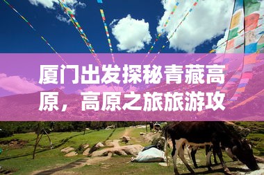 厦门出发探秘青藏高原，高原之旅旅游攻略