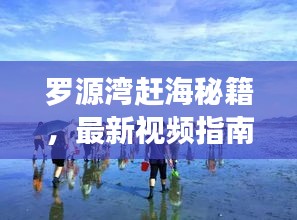 罗源湾赶海秘籍,最新视频指南,带你探索海鲜盛宴!