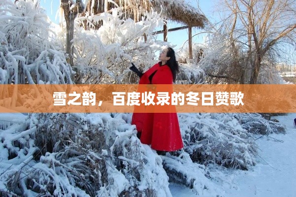 雪之韵,百度收录的冬日赞歌