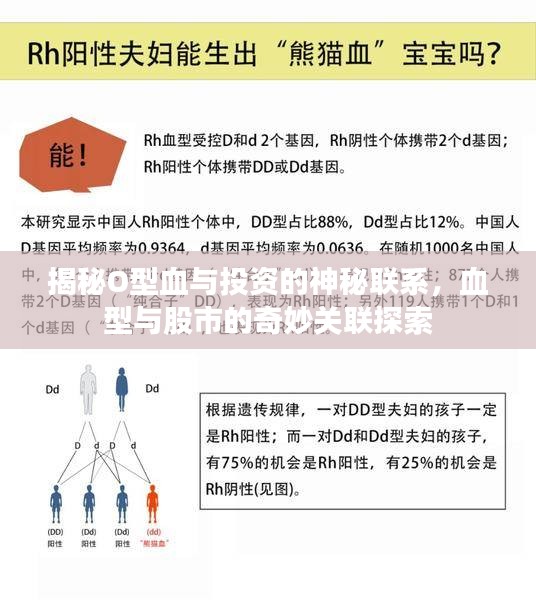 揭秘O型血与投资的神秘联系，血型与股市的奇妙关联探索