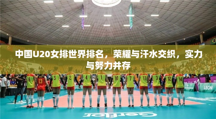 中国U20女排世界排名,荣耀与汗水交织,实力与努力并存