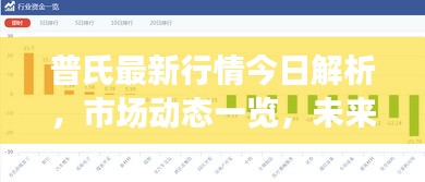 普氏最新行情今日解析,市场动态一览,未来趋势展望