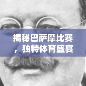 揭秘巴萨摩比赛,独特体育盛宴的激情与荣耀