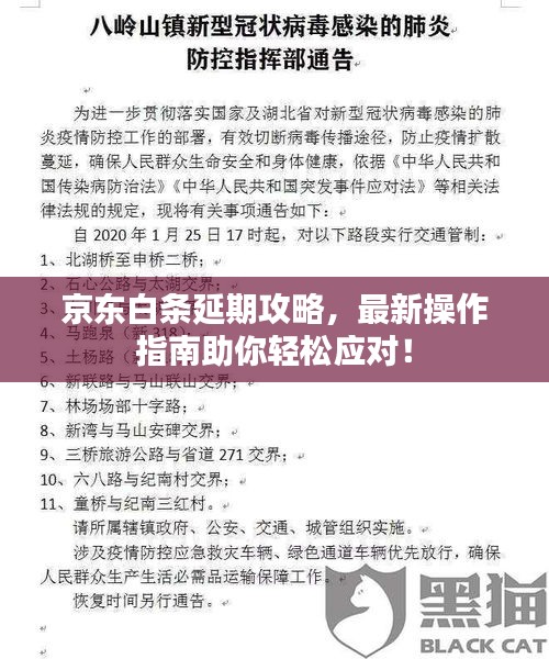 京东白条延期攻略，最新操作指南助你轻松应对！