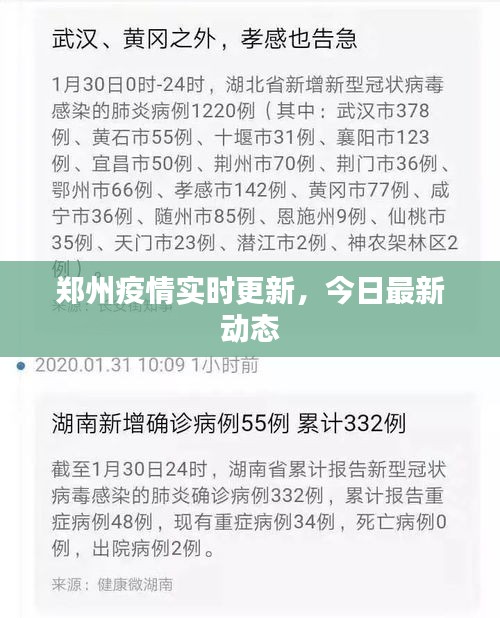 郑州疫情实时更新，今日最新动态