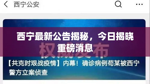 西宁最新公告揭秘，今日揭晓重磅消息