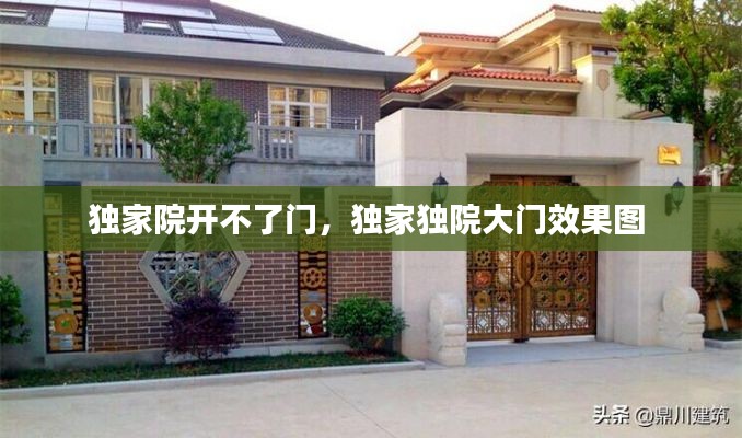 独家院开不了门,独家独院大门效果图