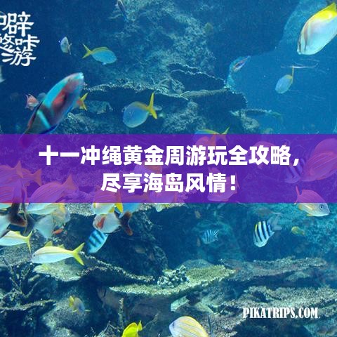 十一冲绳黄金周游玩全攻略，尽享海岛风情！