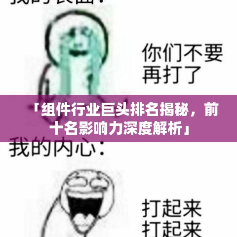 「组件行业巨头排名揭秘，前十名影响力深度解析」