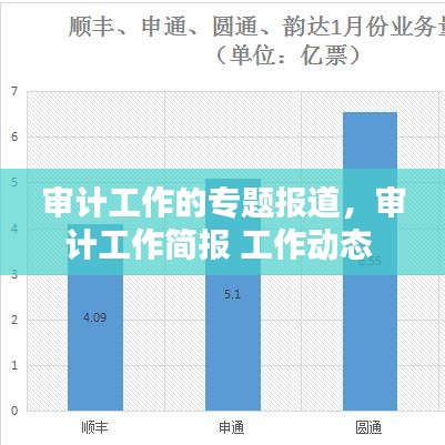 审计工作的专题报道,审计工作简报 工作动态