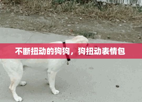 不断扭动的狗狗，狗扭动表情包 