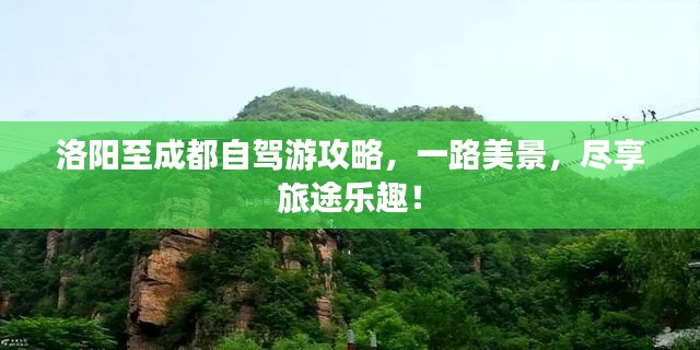 采椽不斫