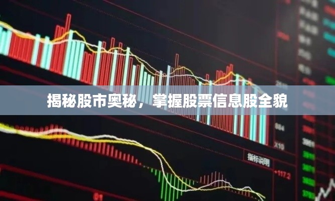 揭秘股市奥秘，掌握股票信息股全貌