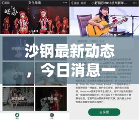 沙钢最新动态，今日消息一网打尽！