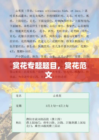 赏花专题题目，赏花范文 