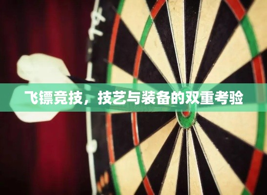 飞镖竞技,技艺与装备的双重考验