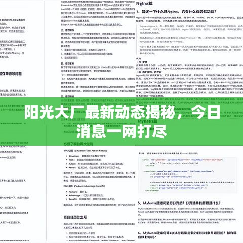 阳光大厂最新动态揭秘，今日消息一网打尽