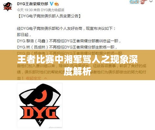 王者比赛中湘军骂人之现象深度解析