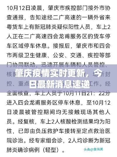 肇庆疫情实时更新,今日最新消息速递