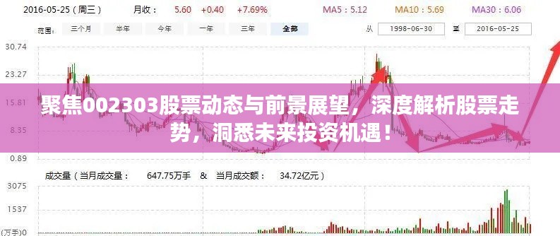 聚焦002303股票动态与前景展望，深度解析股票走势，洞悉未来投资机遇！