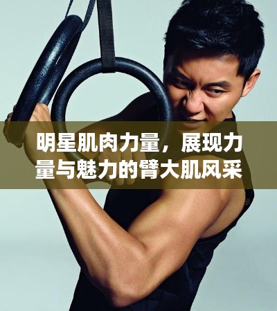 明星肌肉力量,展现力量与魅力的臂大肌风采